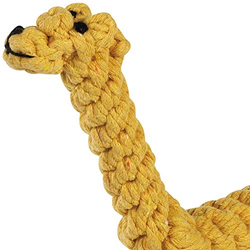 Rope dog toy for dog play