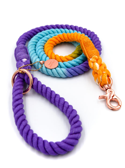 Dog leash rope design