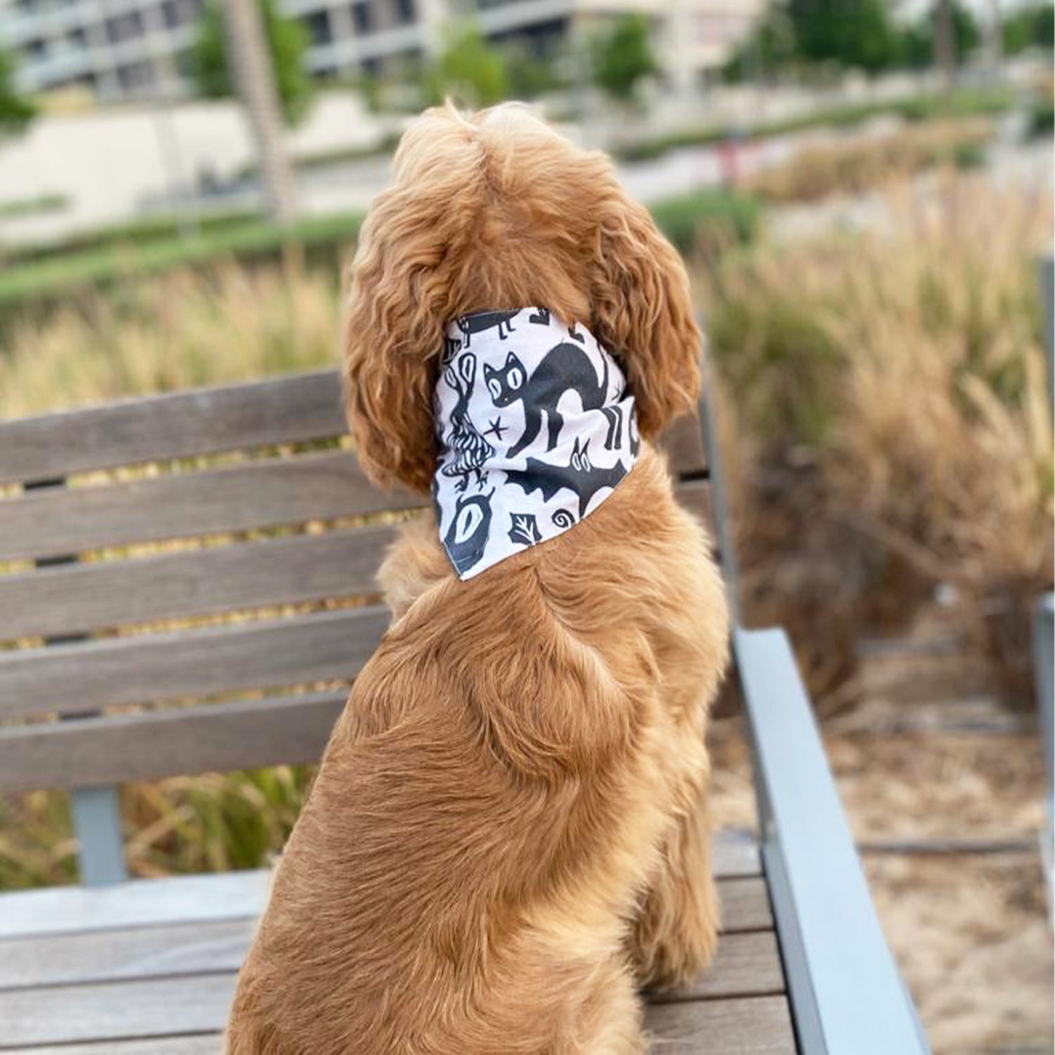 Halloween design dog bandana